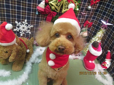 ファイル 5915-1.jpg