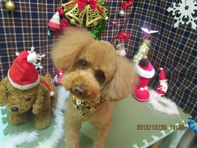 ファイル 5915-2.jpg