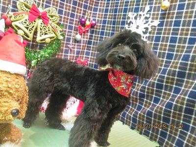 ファイル 5916-1.jpg