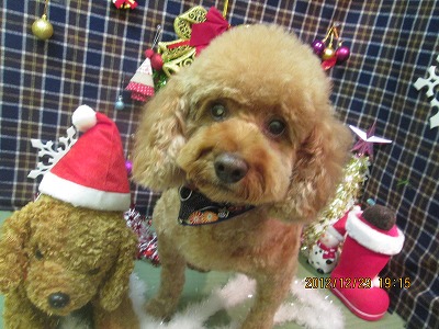 ファイル 5917-1.jpg