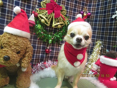 ファイル 5918-1.jpg