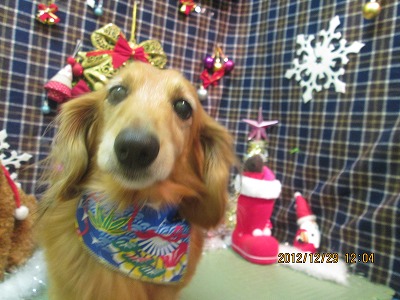 ファイル 5919-2.jpg