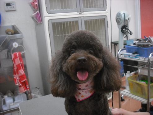 ファイル 592-1.jpg