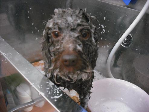 ファイル 592-2.jpg