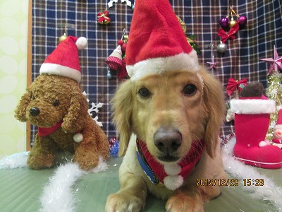 ファイル 5920-1.jpg