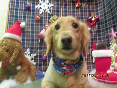 ファイル 5920-2.jpg