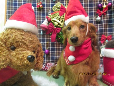 ファイル 5921-1.jpg