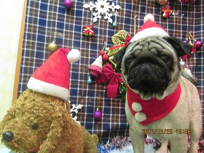 ファイル 5922-1.jpg