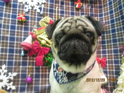 ファイル 5922-2.jpg