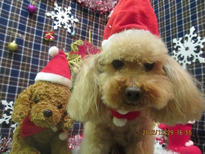 ファイル 5923-1.jpg