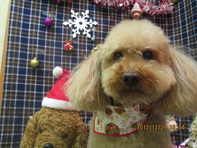 ファイル 5923-2.jpg