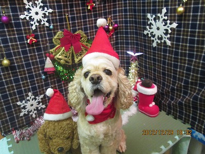 ファイル 5924-1.jpg