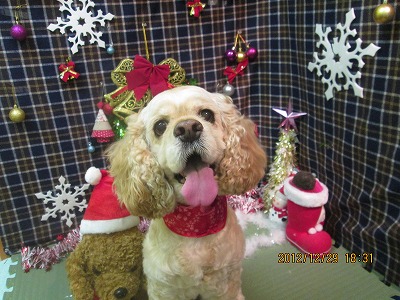 ファイル 5924-2.jpg