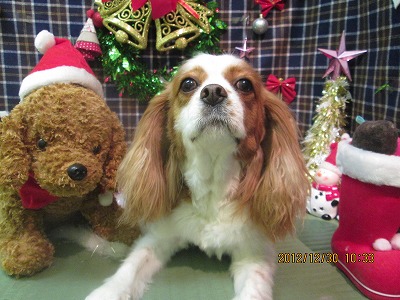 ファイル 5926-2.jpg