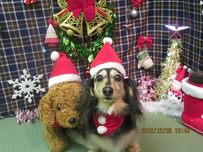 ファイル 5927-1.jpg