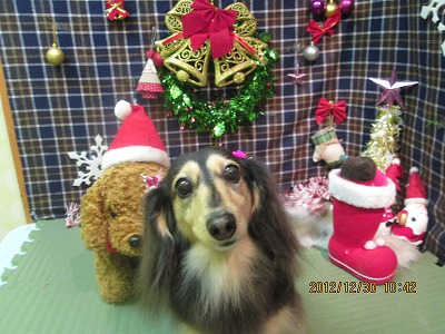 ファイル 5927-2.jpg