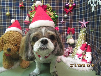 ファイル 5928-1.jpg