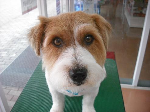 ファイル 593-1.jpg