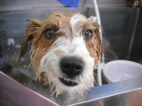 ファイル 593-3.jpg