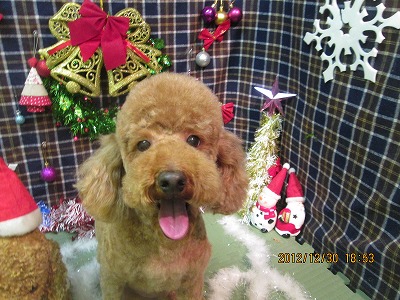 ファイル 5930-1.jpg