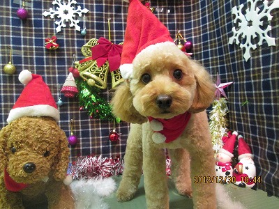 ファイル 5931-1.jpg