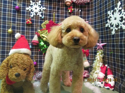 ファイル 5931-2.jpg