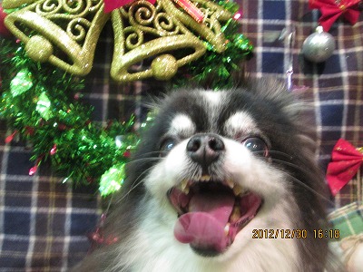 ファイル 5933-1.jpg