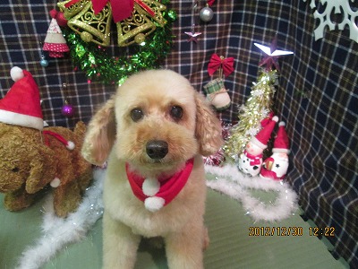 ファイル 5934-1.jpg