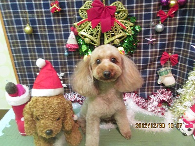 ファイル 5935-1.jpg