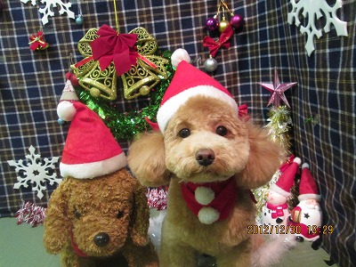 ファイル 5936-1.jpg