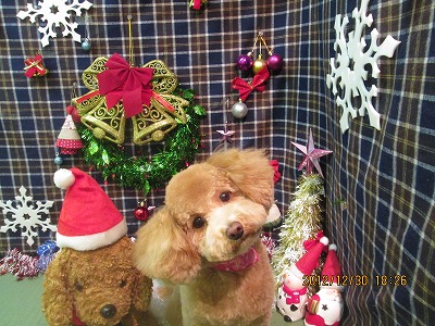 ファイル 5936-2.jpg