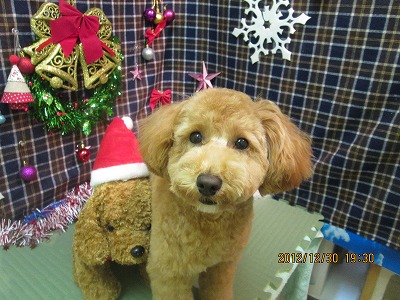 ファイル 5937-1.jpg