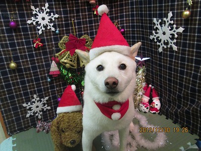 ファイル 5938-1.jpg