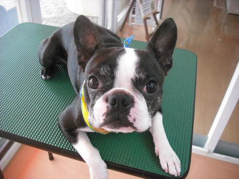 ファイル 594-1.jpg