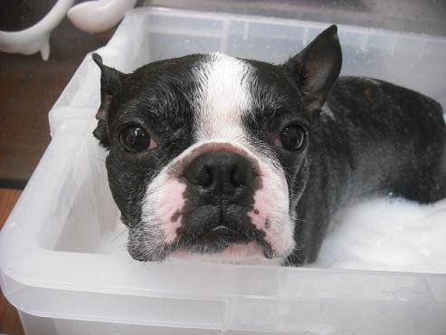 ファイル 594-3.jpg