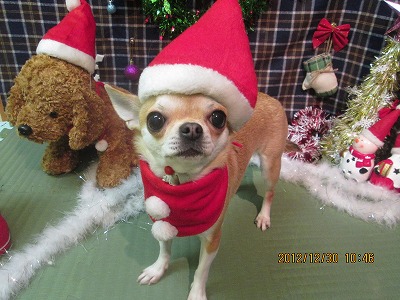 ファイル 5940-1.jpg