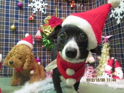 ファイル 5941-1.jpg