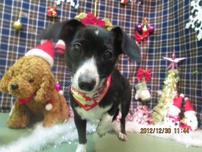 ファイル 5941-2.jpg