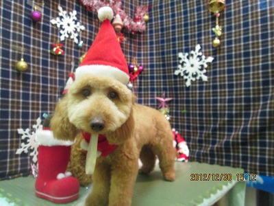 ファイル 5942-1.jpg