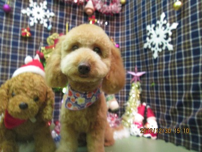 ファイル 5942-2.jpg