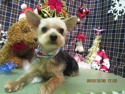 ファイル 5943-1.jpg