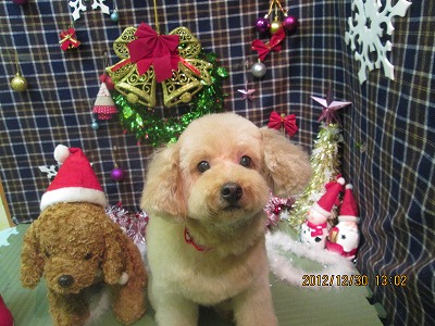 ファイル 5945-2.jpg