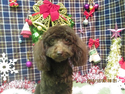 ファイル 5948-1.jpg