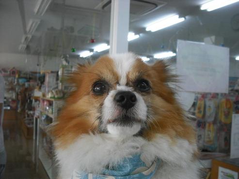 ファイル 595-1.jpg