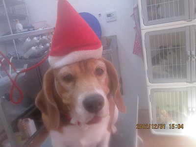 ファイル 5958-1.jpg