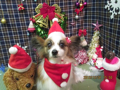 ファイル 5959-1.jpg