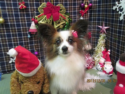 ファイル 5959-2.jpg