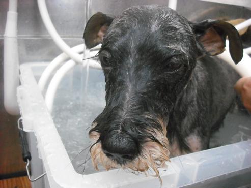 ファイル 596-2.jpg