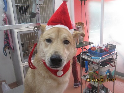 ファイル 5960-1.jpg