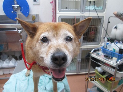 ファイル 5963-1.jpg